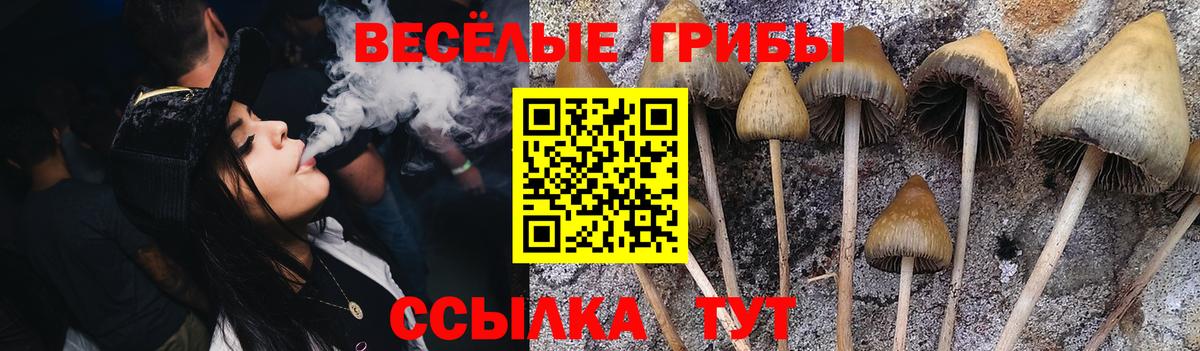 Псилоцибиновые грибы прущие грибы Юрга