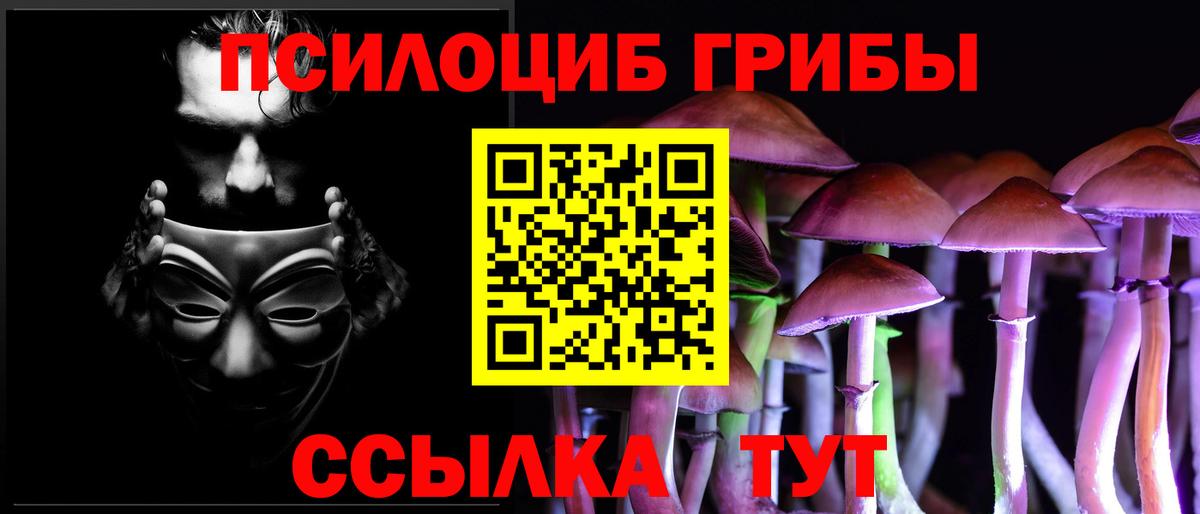 Псилоцибиновые грибы прущие грибы  Галлюциногенные грибы MAGIC MUSHROOMS  Юрга  сколько стоит  Вход с VPN 